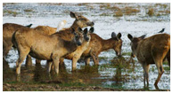 Southern India Tour Packages