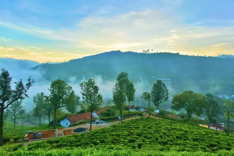 South India Hill Tour