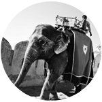 Jaipur Day Tours